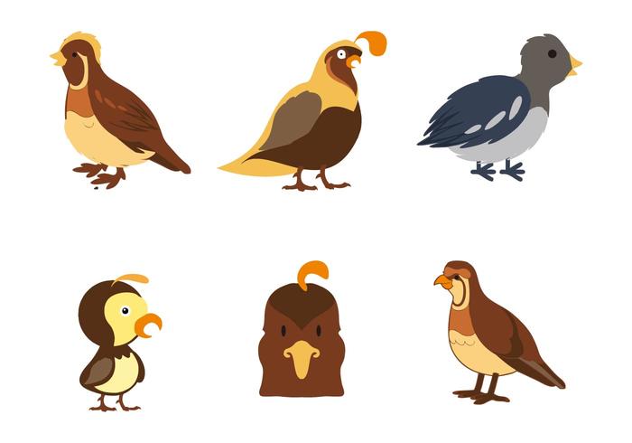 Libre Quail Iconos Vector