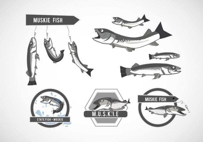 Muskie Fish Vector