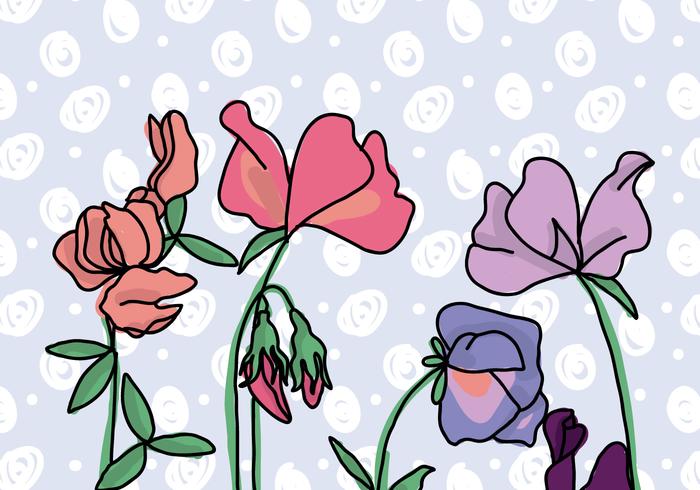 Sweet Pea Flowers Background vector