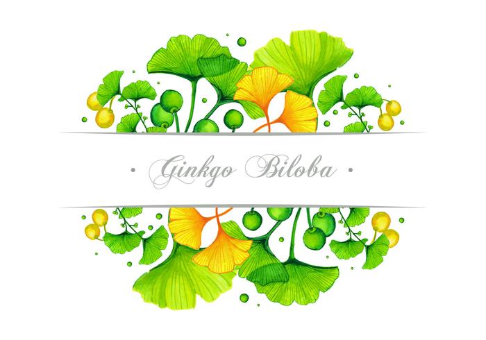 Ginkgo Banner Vector Design