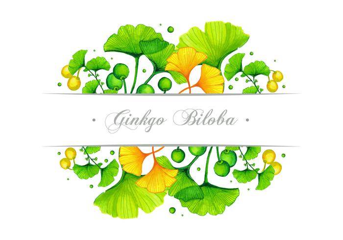 Ginkgo Banner Vector Diseño