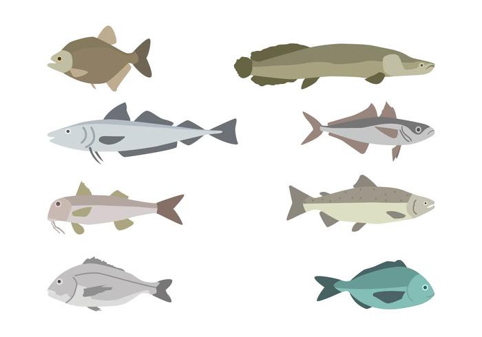 Vectores planos de los pescados