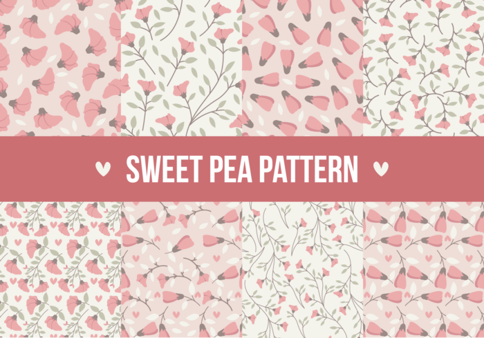 Sweet Pea Seamless Patterns vector