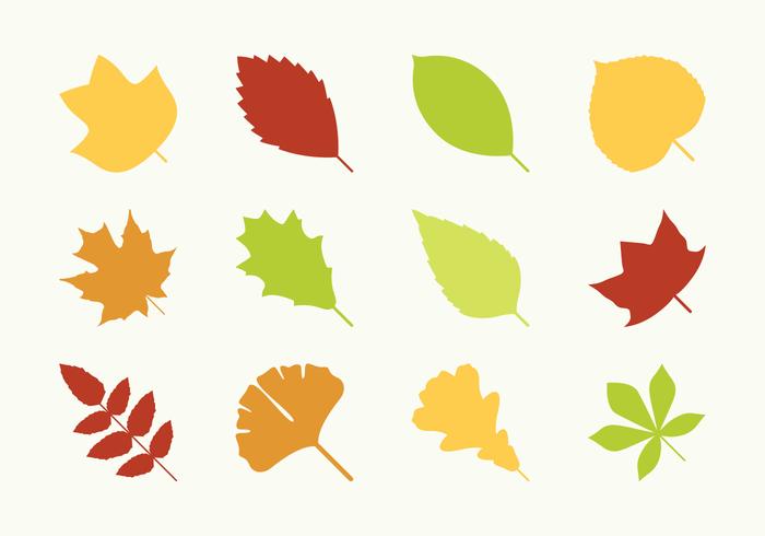 Flat Different Leaves Icons vector