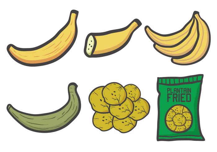 Plantain vector set