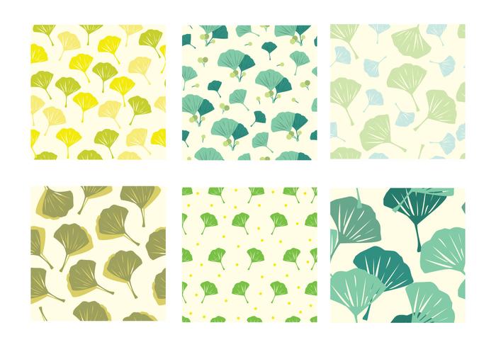 Ginkgo Patterns Vector