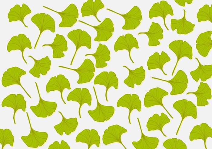 Ginkgo Leaf Background  vector