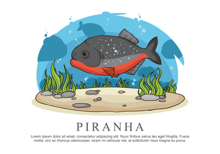 Piranha ilustración vectorial vector