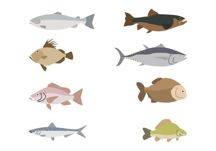 Flat Fish Vectors