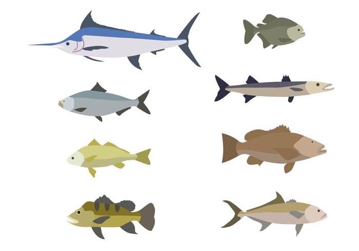 Flat Fish Vectors