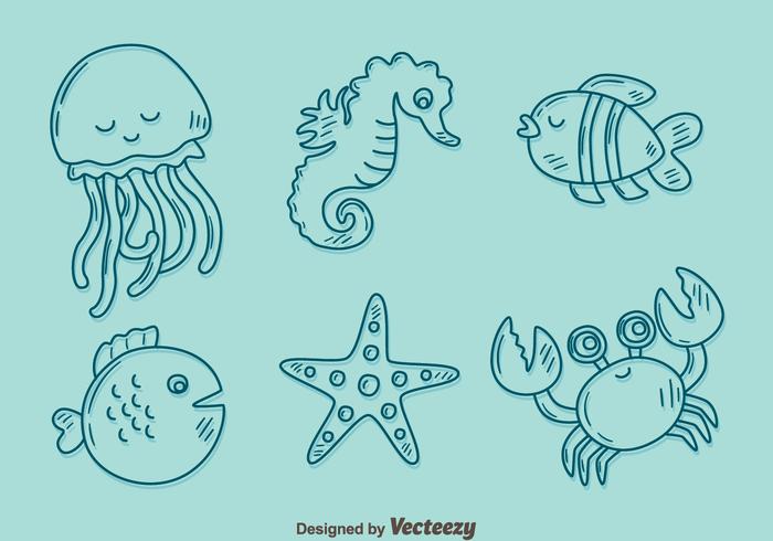 Sketch Sea Creature Collection Vector