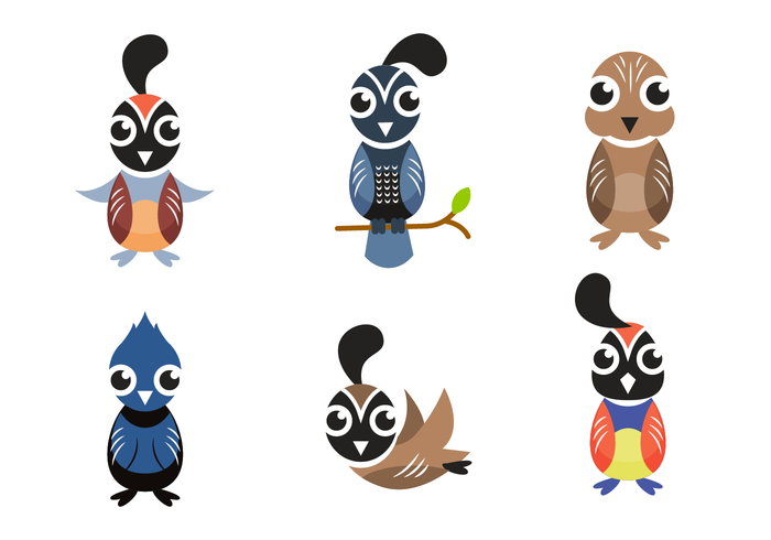 Cute Quail Mascot Vector