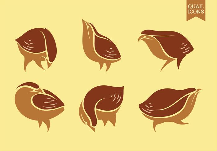 Set of vector Graphic Icons of Quail