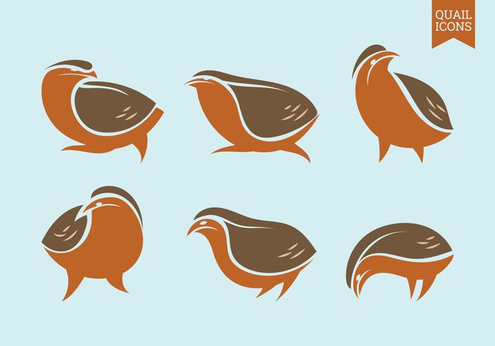 Set of Vector Graphic Icons of Quail