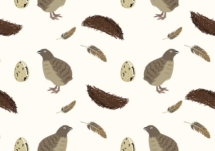 Quail Bird Pattern Free Vector