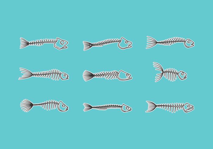 Fish Skeletal Vector