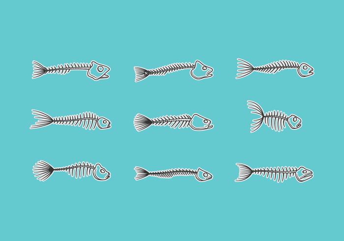 Fish Skeletal Vector