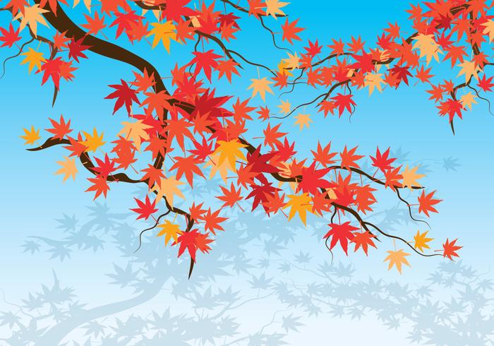 Japanese Maple Background vector