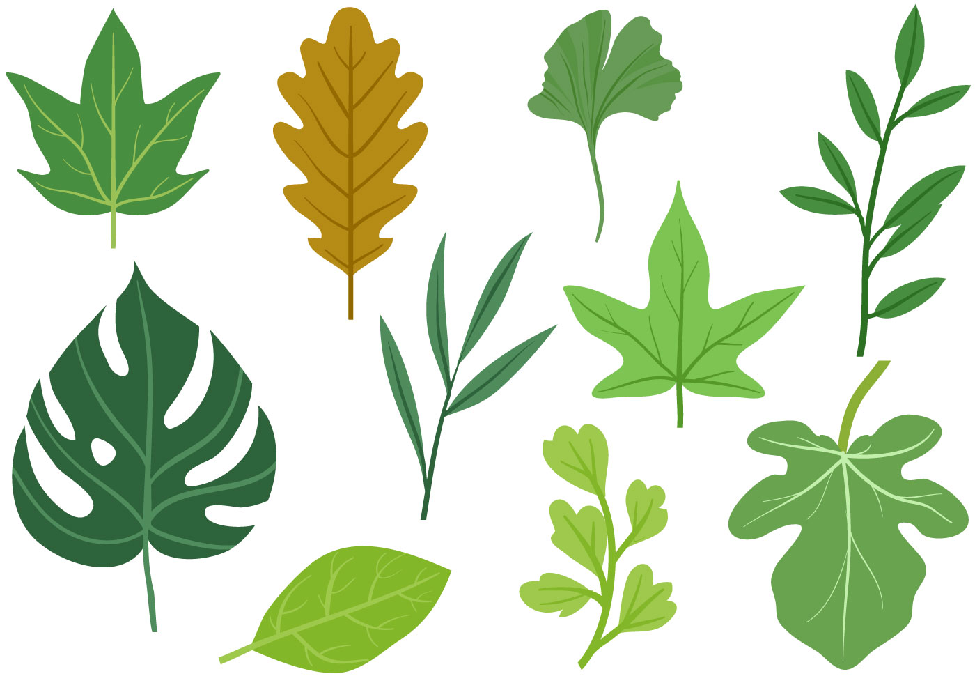 Free Leaves 2 Vectors 161243 Vector Art at Vecteezy