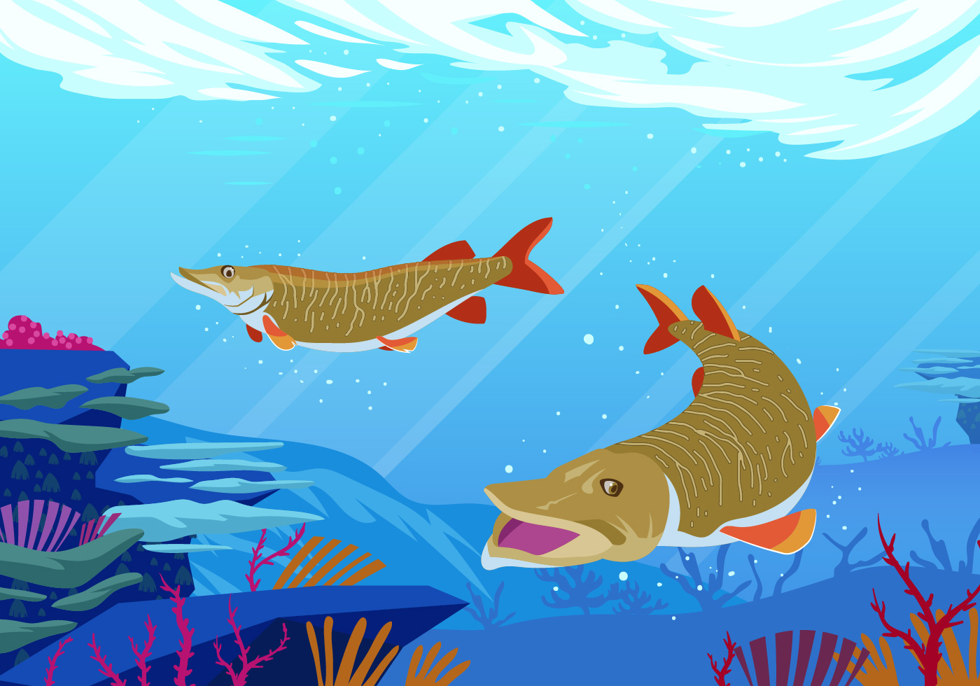 музей рыбы и цивилизации рыбоедов. конкурс рисунков.