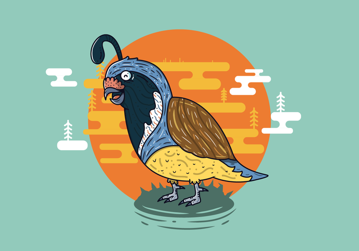 Free Quail Vector