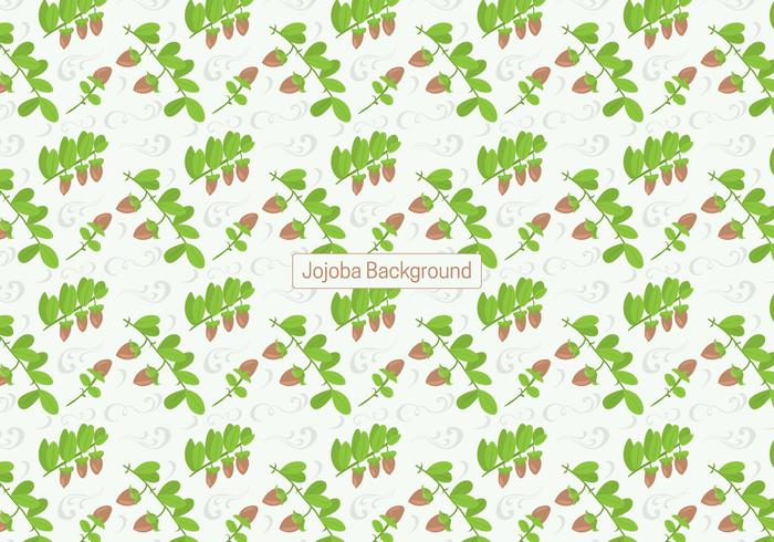 Jojoba Background vector