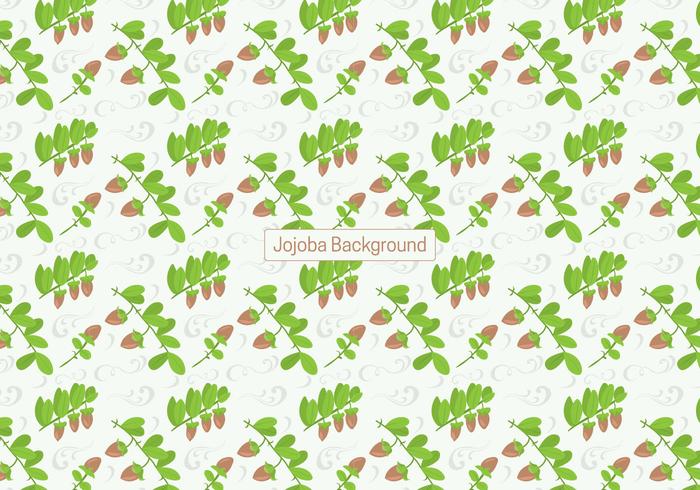 Jojoba Background vector