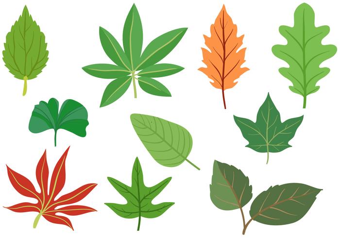 Free Leaves Vectors