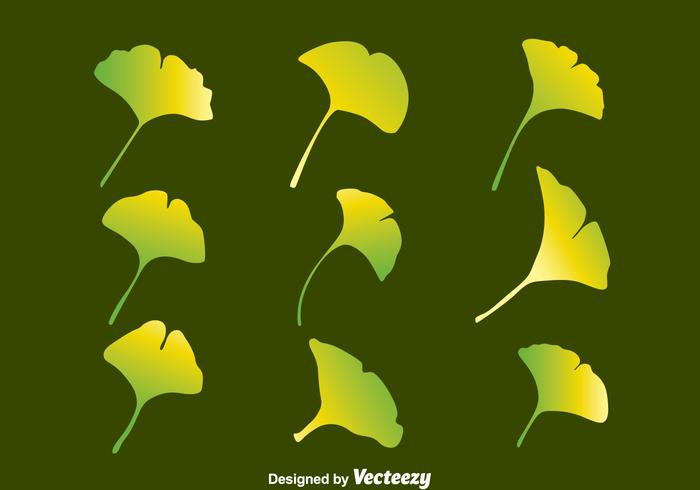 Gradient Ginkgo Leaf Collection Vector