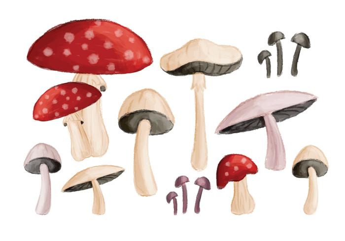 Vector Set of Hand Drawn Mushrooms