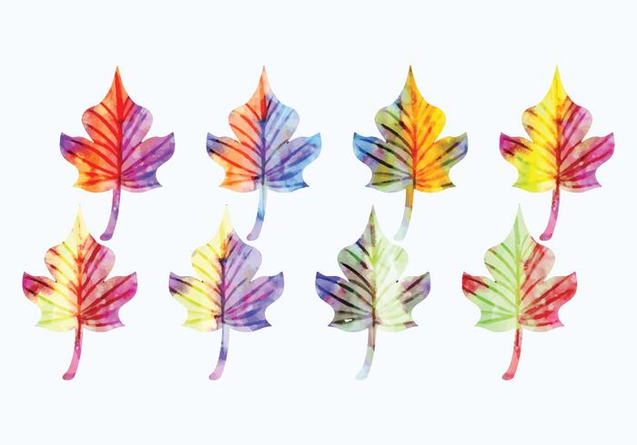 Vector Watercolor Leaves