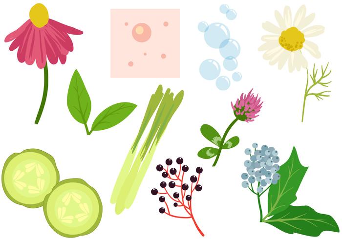 Free Plants Acne Treatment vector