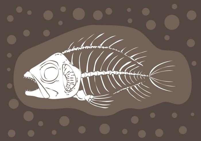 Fishbone Fossil Vector 