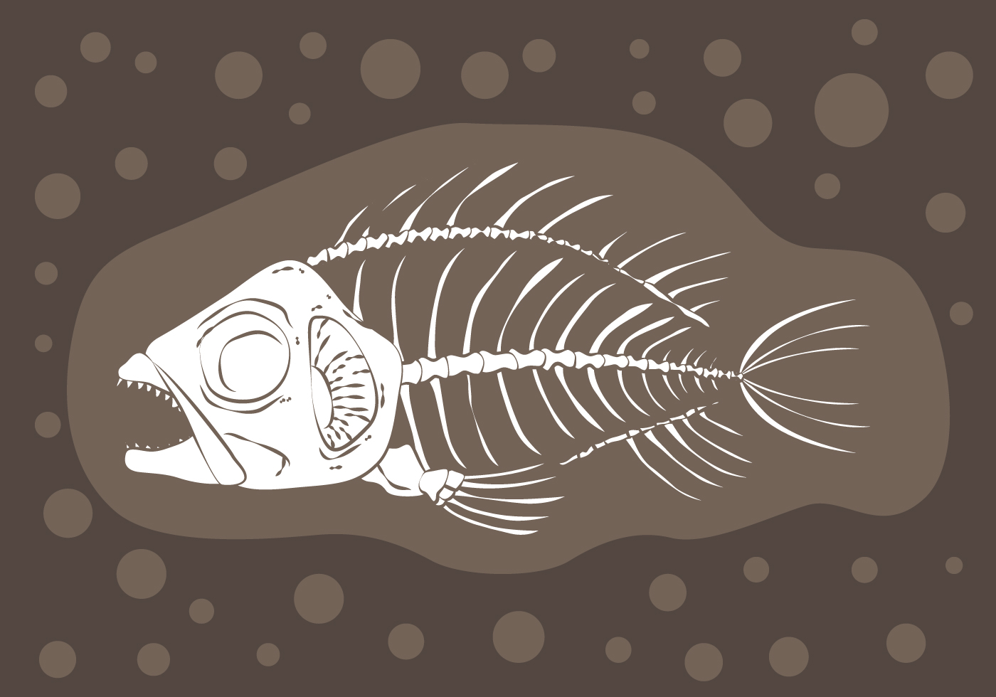 Fish Fossil Vector Art, Icons, and Graphics for Free Download