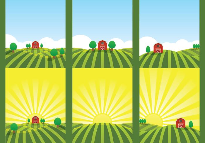 Farm Field Illustration vector