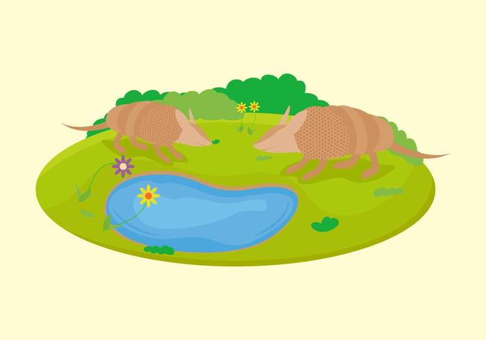 Free Unique Armadillo Vectors