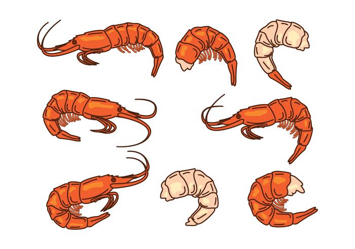 Gambas Vector Icono