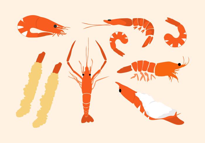 Gambas, vector