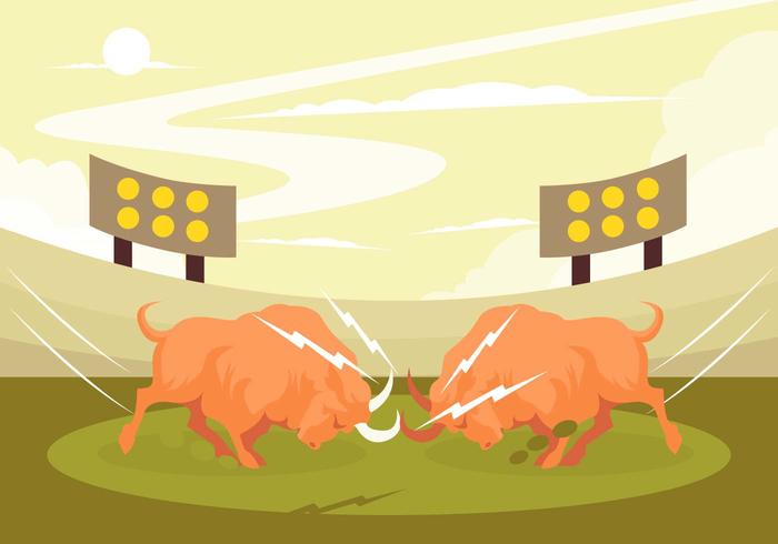 Crazy Bull Fight Vector