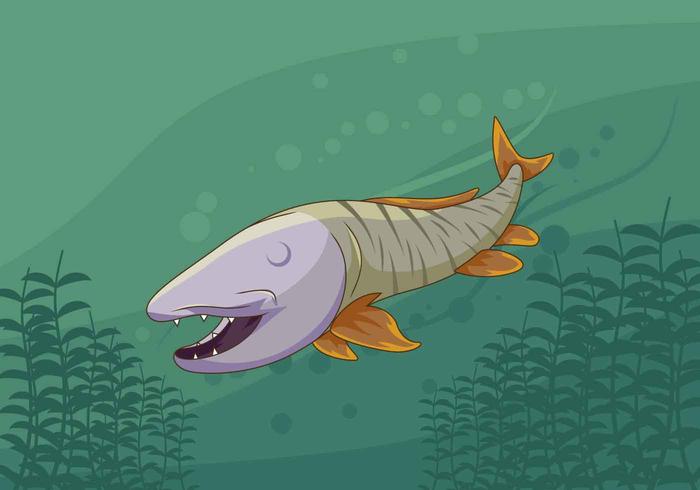 Free Iconic Muskie Fish Vectors