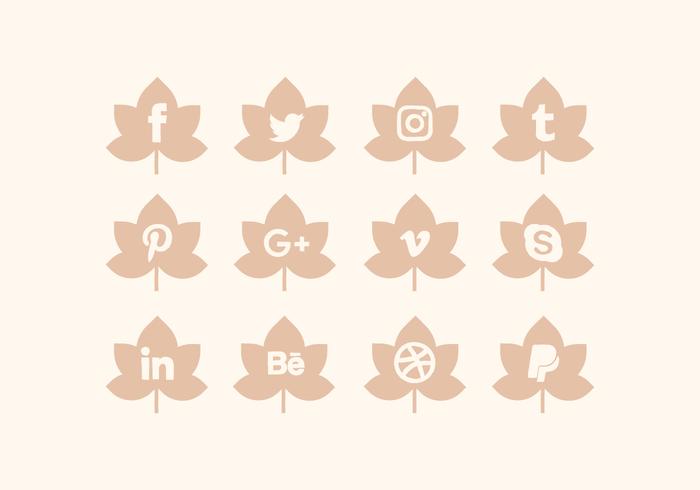 Vector Collection of Social Media Icons