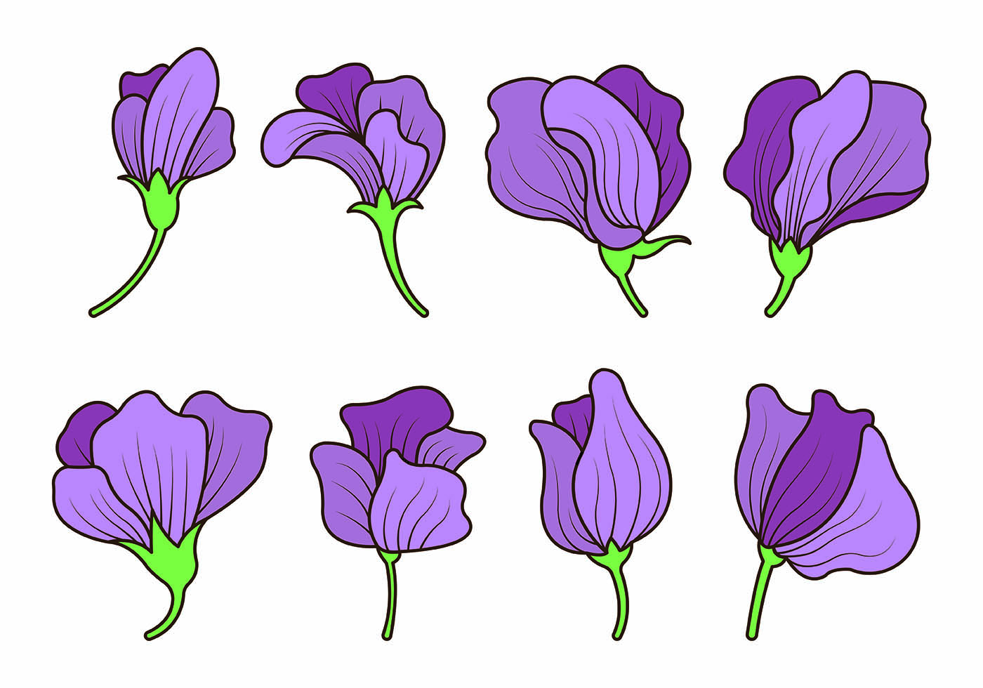 Free Free 96 Sweet Pea Flower Svg SVG PNG EPS DXF File