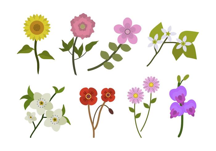 Flat Flower Vectors