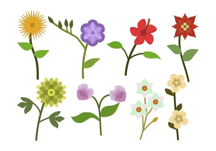 Flat Flower Vectors