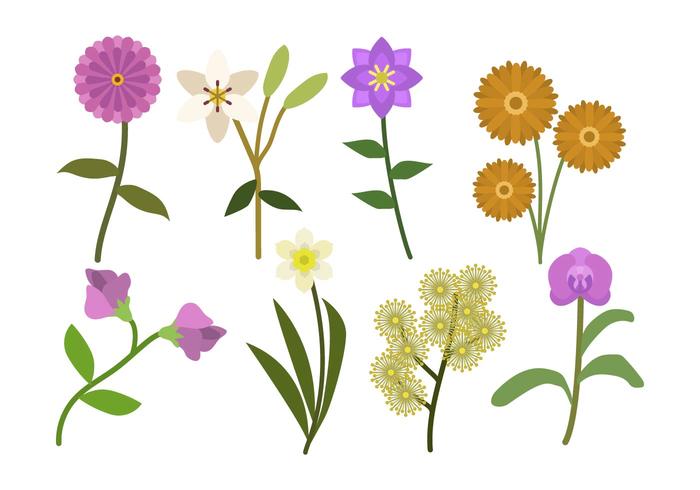 Flat Flower Vectors