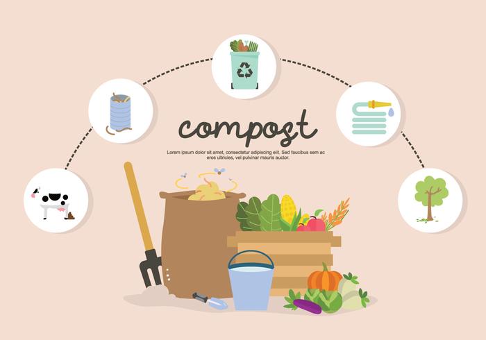 Infographic Fertilization Garbage And Soil To Compost Vector Illustration