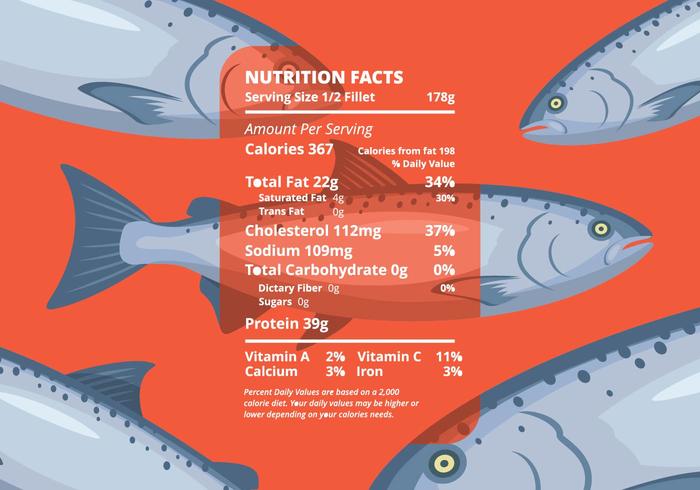 Fish Nutrition Facts Illustration vector