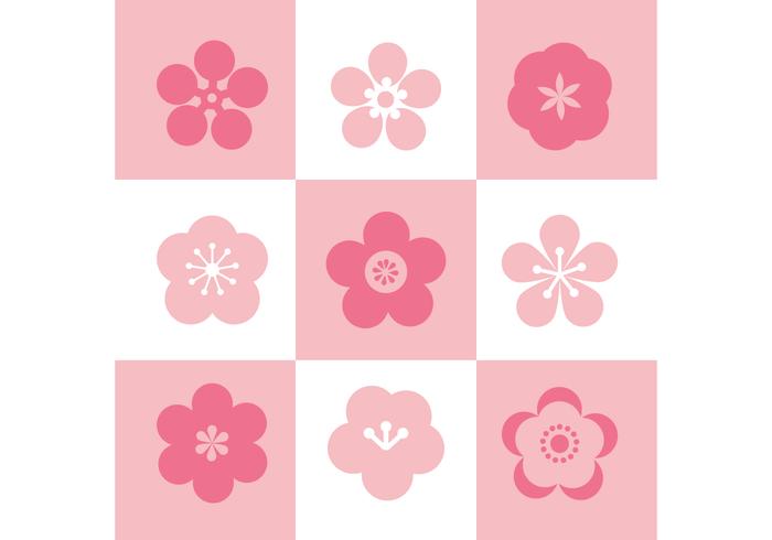 Plum Blossom Conjunto De Iconos vector