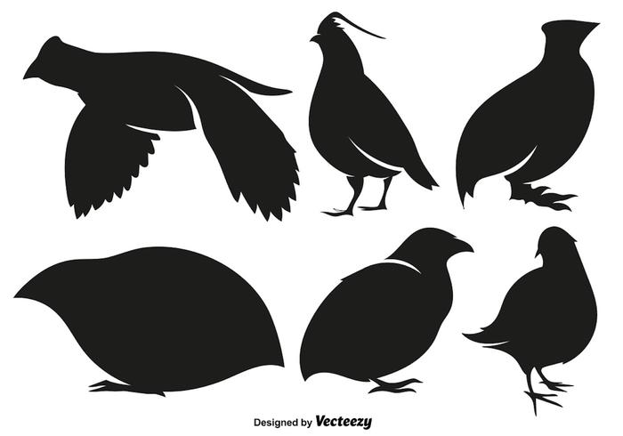 Vector codorniz conjunto de vectores