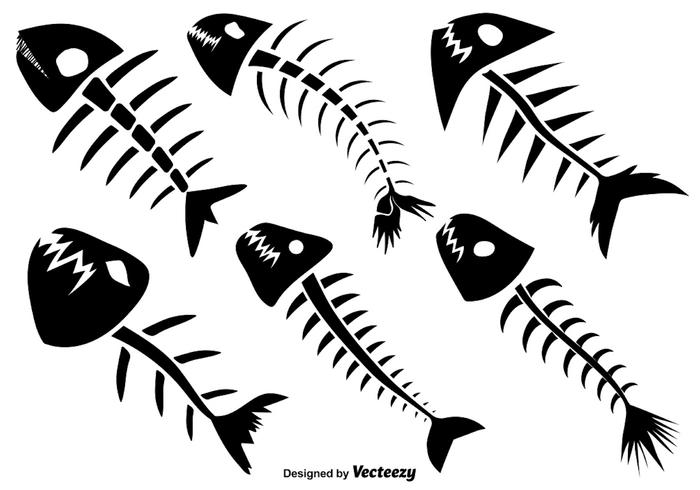 Vector Set Of Six Fishbone